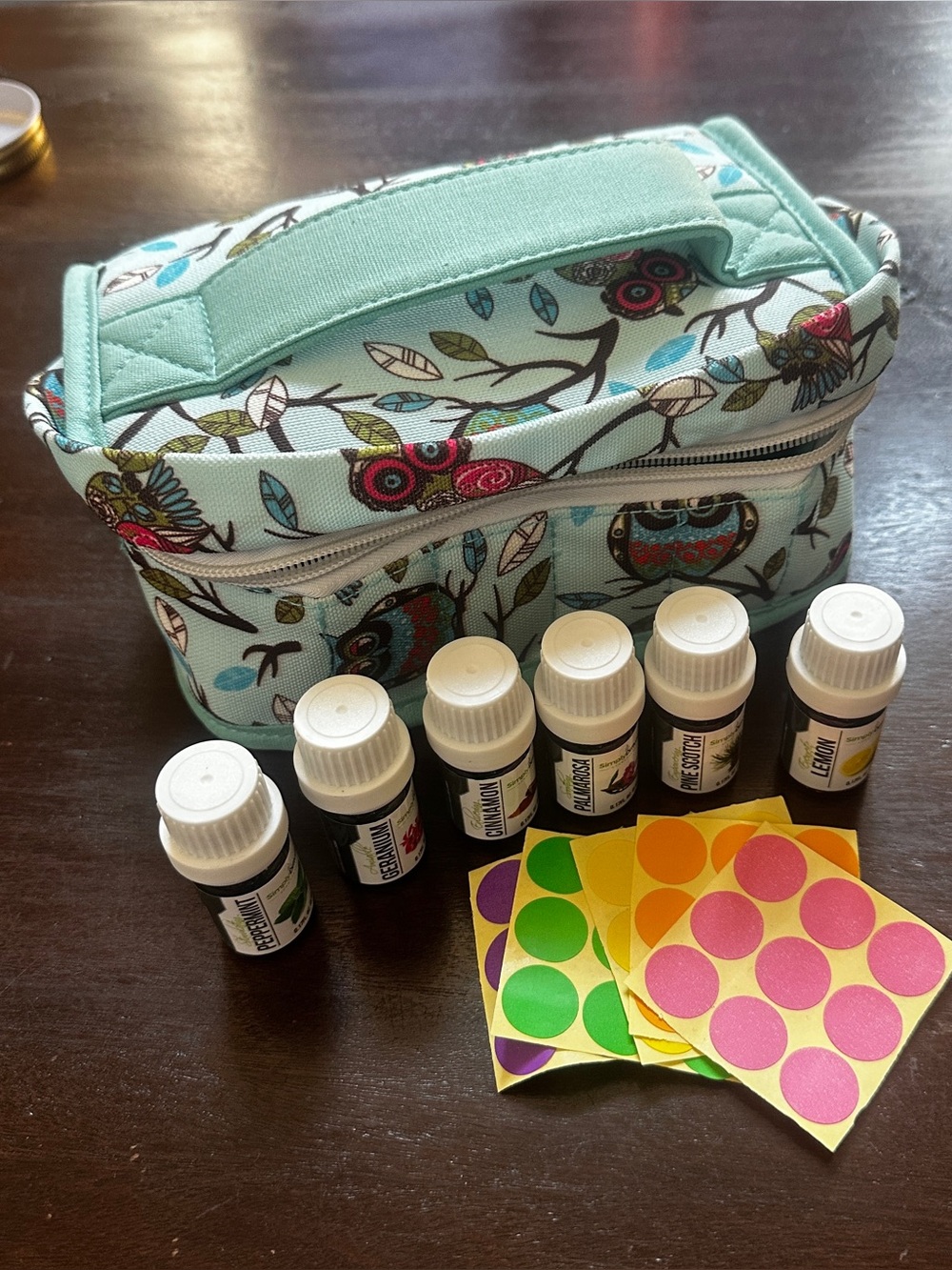 Essential Oils Storage Bag